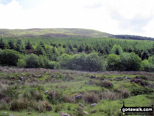 Y Ro Wen from Afon Bwlch y Groes on the lower slopes of Drosgol (Bwlch y Groes)