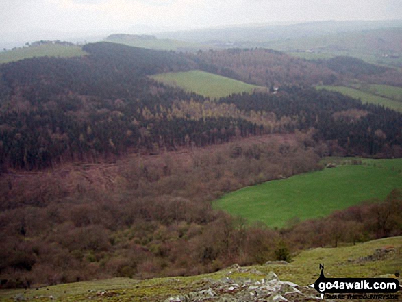 Oaks wood from Earl's Hill