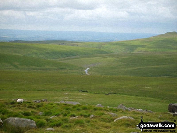 Amicombe Brook from Fur Tor