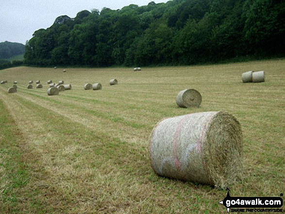 Walk ny242 Howl Dale from Thornton-le-Dale - Hay Bales near Ellerburn