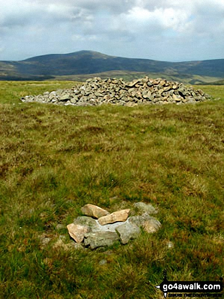 Cushat Law summit cairn and shelter with The Cheviot in the distance