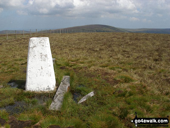 Bloodybush Edge summit trig point with Cushat Law in the distance