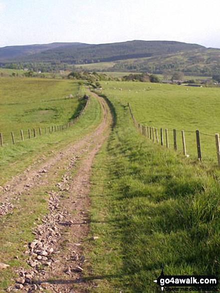 Walk n131 Alwindale and Clennell St from Alwinton - Clennell Street on the descent into Alwinton