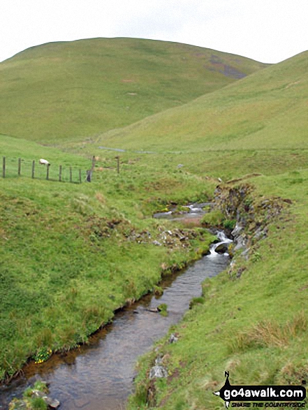 Walk n128 Windy Gyle from Wedder Leap, Barrowburn - Rowhope Burn