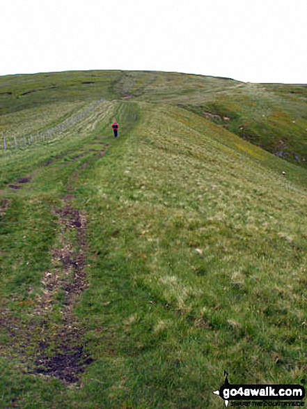 Climbing Windy Gyle via the Pennine Way