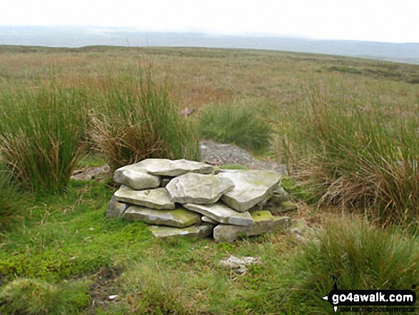 Bink Moss summit cairn