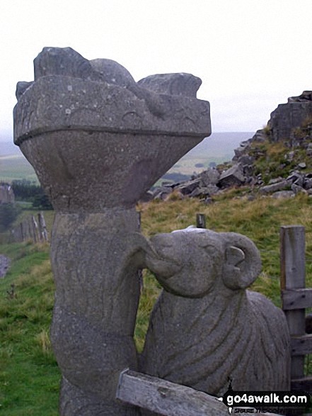 Detail of unusual Sheep and Dove scultured stile west of Holwick Scars