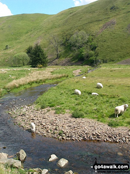 Walk n131 Alwindale and Clennell St from Alwinton - River Alwin north of Alwinton