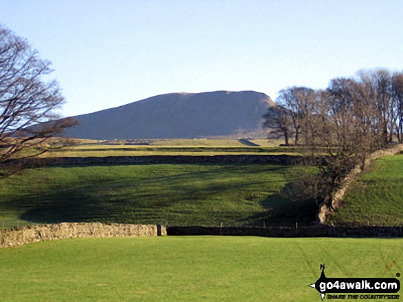 Walk ny158 Pen-y-ghent and Plover Hill from Horton in Ribblesdale - Pen-y-ghent from Horton in Ribblesdale