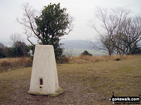 Arnside Knott Photo by Darren Proctor