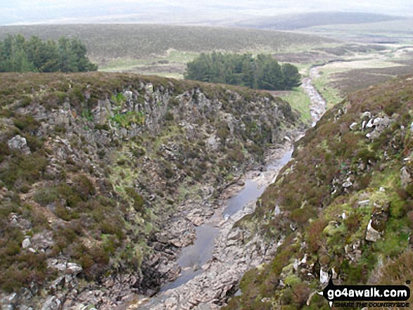 Force Burn Gorge