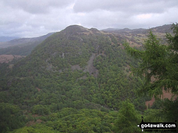 Shepherds Crag from Castle Crag