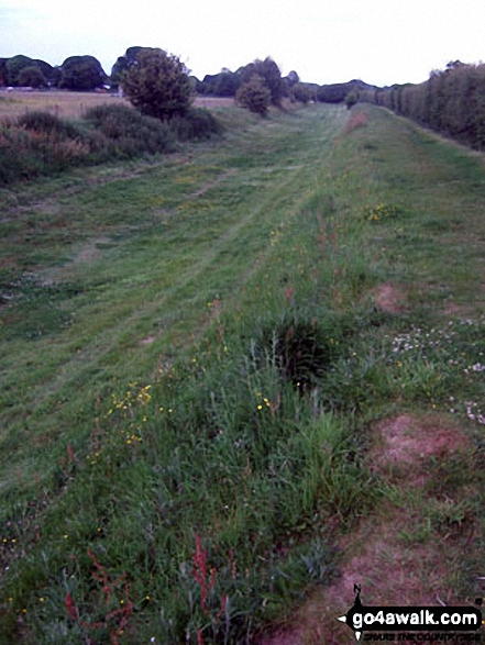 Walk ws154 Westfield and Barnham from Yapton - The (former) Portsmouth and Arundel Navigation Canal beyond Tilebarn Farm, Barnham