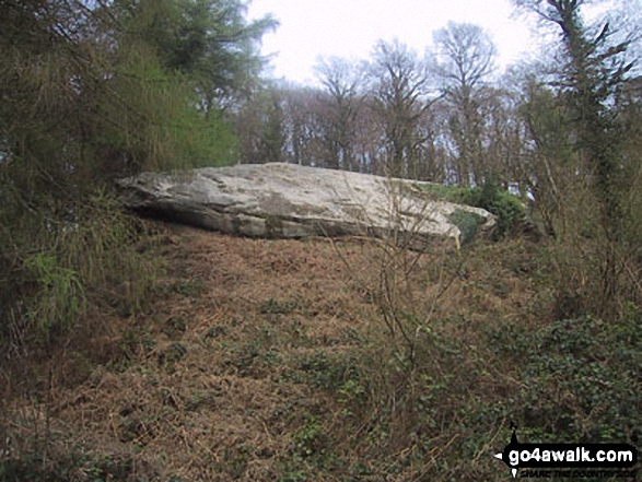 The Suck Stone, Highmeadow Woods