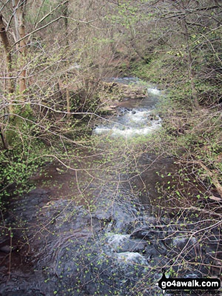 Grwyne Fechan near Llanbedr