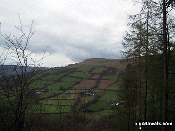 Table Mountain (on the South East shoulder of Pen Cerrig-calch) from Blaen-yr-henbant