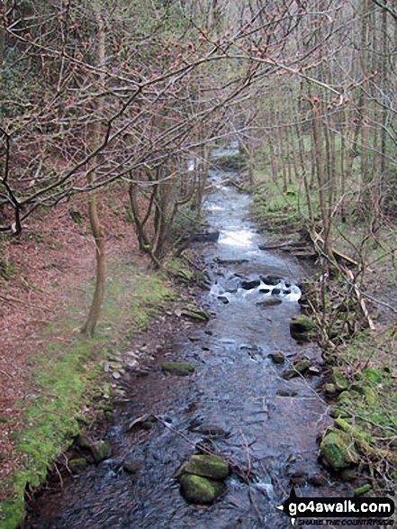 Grwyne Fechan near Darren Fach