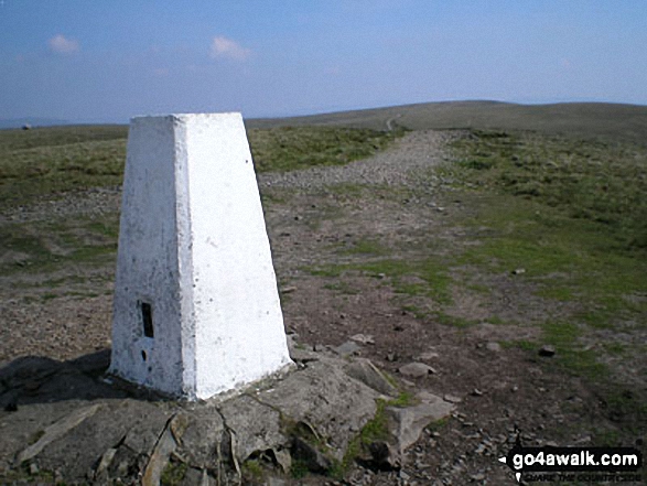 Walk c180 The Howgills from Low Carlingill Bridge - On the summit of The Calf