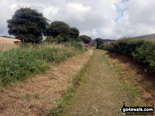 Walk es111 The Belle Tout Lighthouse from East Dean - Ringwood Bottom