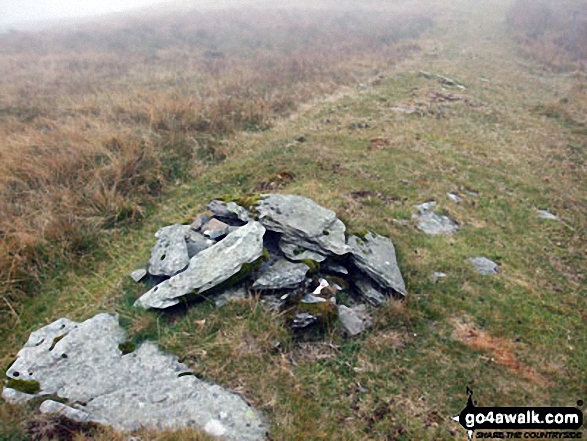 Ancrow Brow (North East Top) Photo by David Elliott