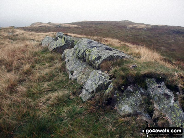 Long Crag (Bannisdale Fell) summit