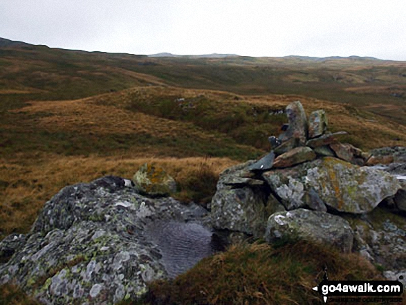 Walk c431 The Wet Sleddale Wainwright Outlying Fells - The summit of Great Ladstones