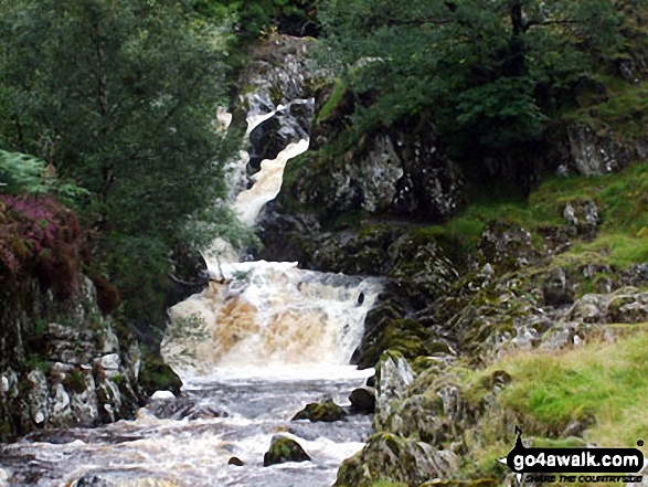 Forces Falls (Swindale)