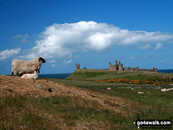 Dunstanburgh Castle