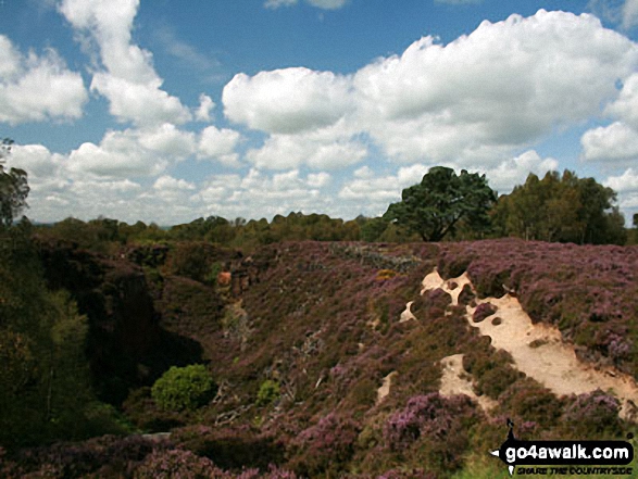 Walk d166 Stanton Moor, Birchover and Youlgreave from Stanton in the Peak - On Stanton Moor