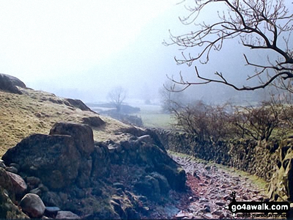 Walk c369 High Raise, Ullscarf and Grange Fell from Rosthwaite - The Cumbria Way near Stonethwaite