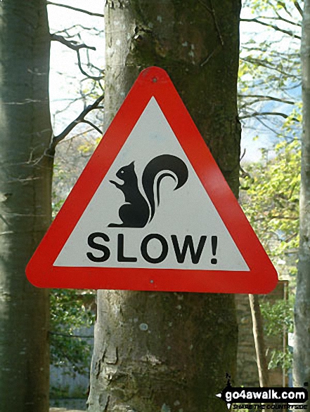 Walk c160 Pillar from Gatesgarth, Buttermere - Road Sign near Buttermere Village