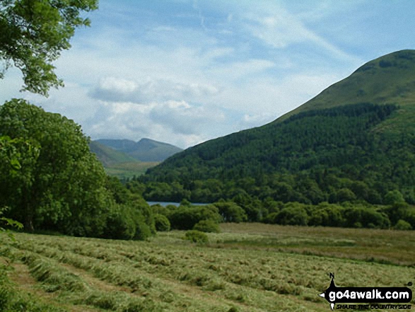 Walk c223 A Circuit of Loweswater from Loweswater - Hay field by Loweswater