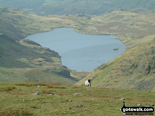 Seathwaite Tarn from Grey Friar