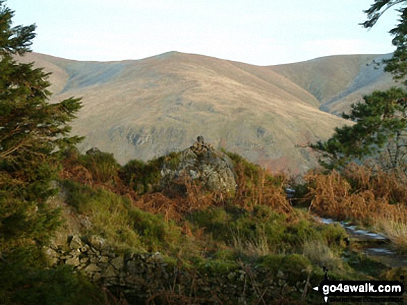 Raven Crag (Thirlmere) summit with Raise beyond