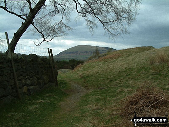 Path to Great Mell Fell near Matterdale End