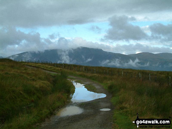 Green lane across Matterdale Common