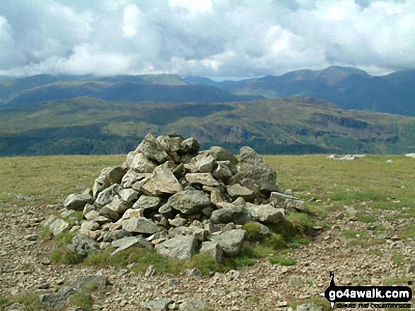 Watson's Dodd Summit