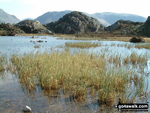 Walk c456 Fleetwith Pike, Hay Stacks, Brandreth and Grey Knotts from Honister Hause - Innominate Tarn on Hay Stacks