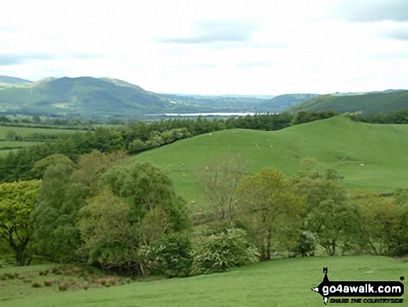 Horsemoor Hills and Bassenthwaite Water from Brockle Crags