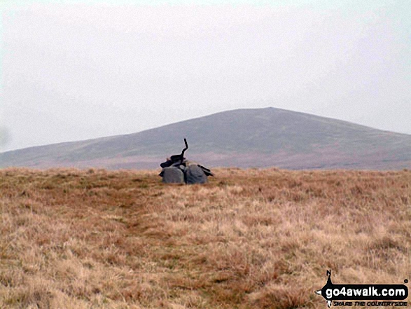 Mungrisdale Common Photo by David Hayter