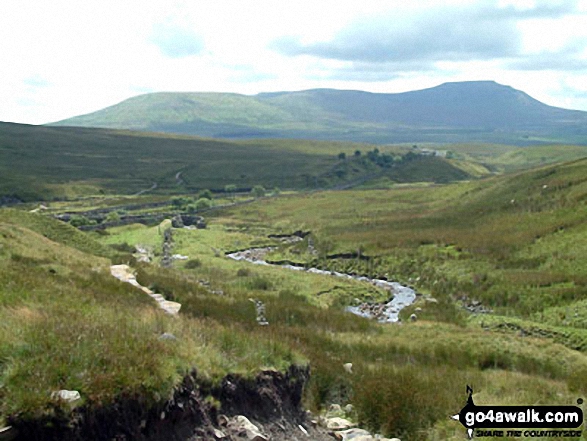 Walk ny101 The Yorkshire Three Peaks from Horton in Ribblesdale - Pen-y-ghent from Greensett Moss, Whernside