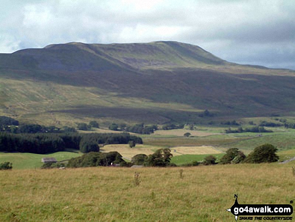 Whernside , the highest point in The Southern Dales Area Photo: David Hayter