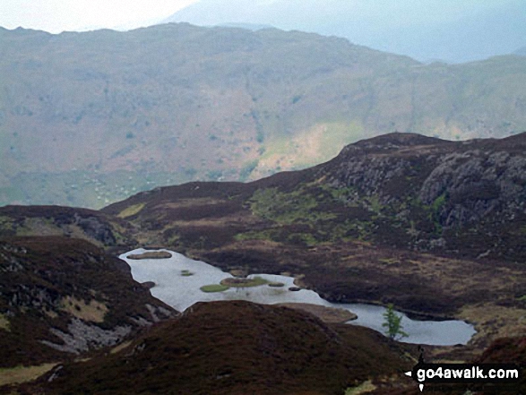 Lingmoor Tarn from Lingmoor Fell