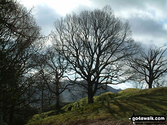 Loughrigg from the slopes of Silver How