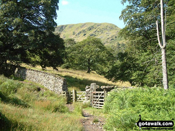 Path up to Arnison Crag from Patterdale