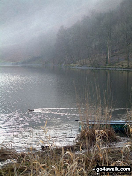 Walk c292 Rydal and Grasmere from Ambleside - Grasmere Shore