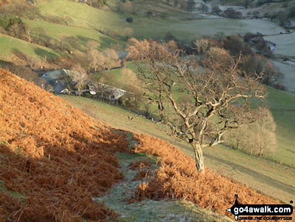 Keskadale Farm from Knott Rigg