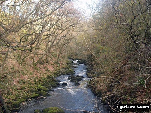 The River Doe above Beezley Falls, The Ingleton Waterfalls