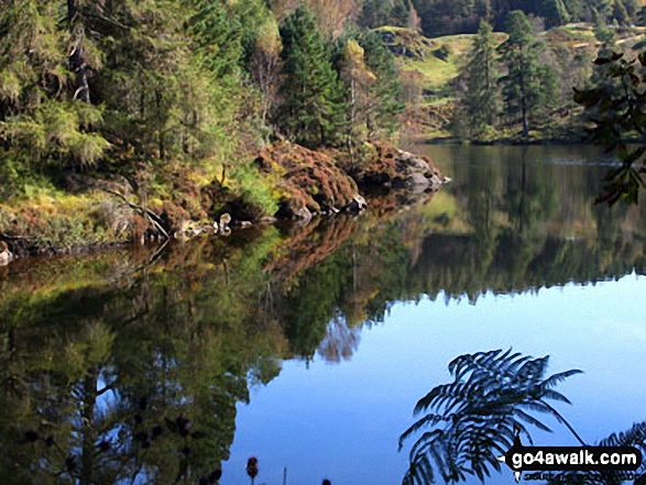 Walk c353 Holme Fell, Black Fell (Black Crag) and Tarn Hows from Tom Gill - Tarn Hows