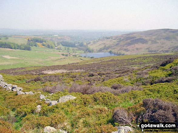 Garth the summit of Moel Llys-y-coed<br> on The Offa's Dyke Path